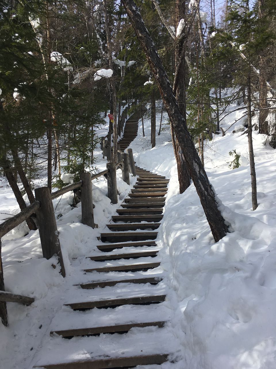 Фото лестницы, которая ведёт на вершину Ленских Столбов.