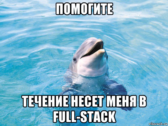 Мем с дельфином в воде, который говорит: 'Помогите @ Течение несет меня в full-stack'